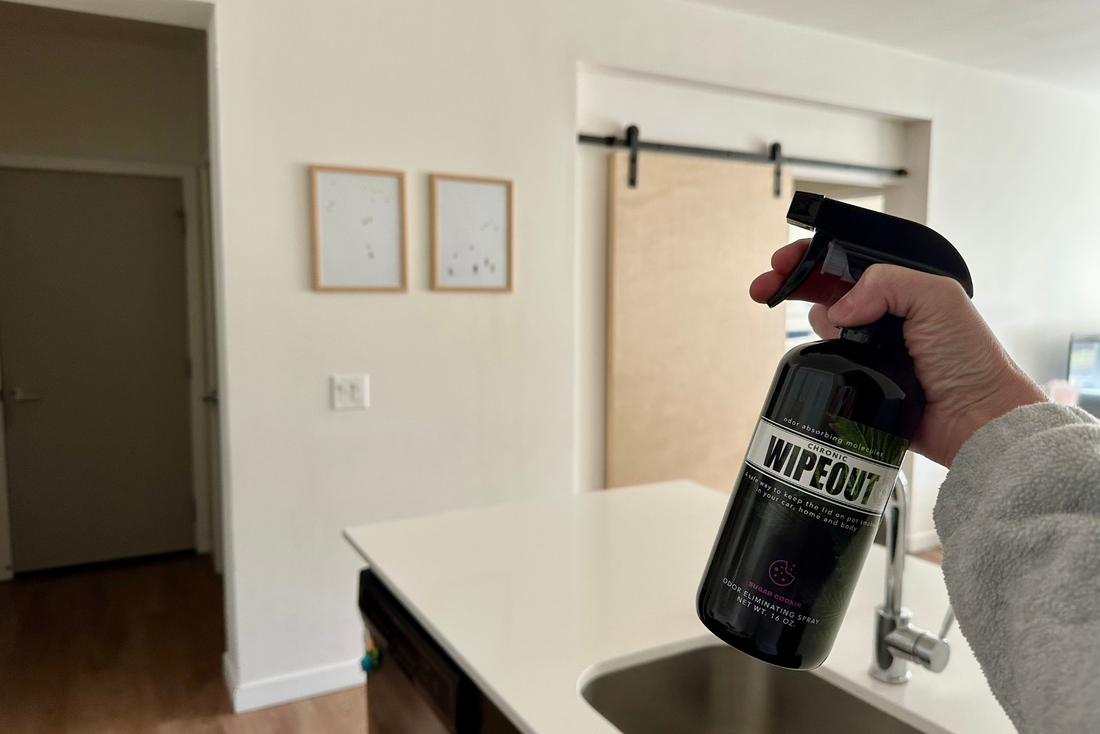 Best Marijuana Smoke Odor Eliminator