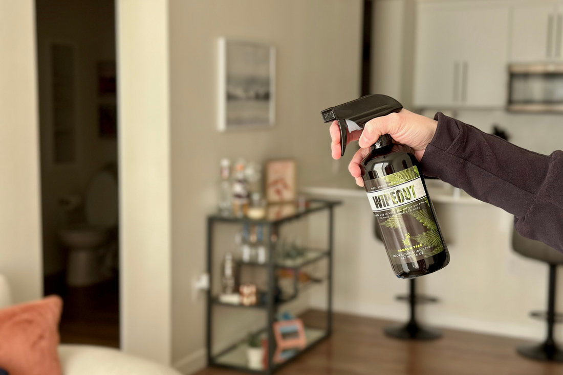 how to get weed odor out of your apartment