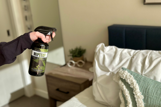 Smoke odor remover for bedroom