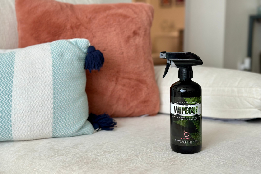 how to get cigarette smell out of shoes How to Get Weed Smell Out of Shoes – Chronic Wipeout how to get cigarette smell out of shoes How to Get Weed Smell Out of Shoes – Chronic Wipeout