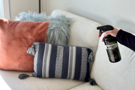 How to get smoke smells out of your couch