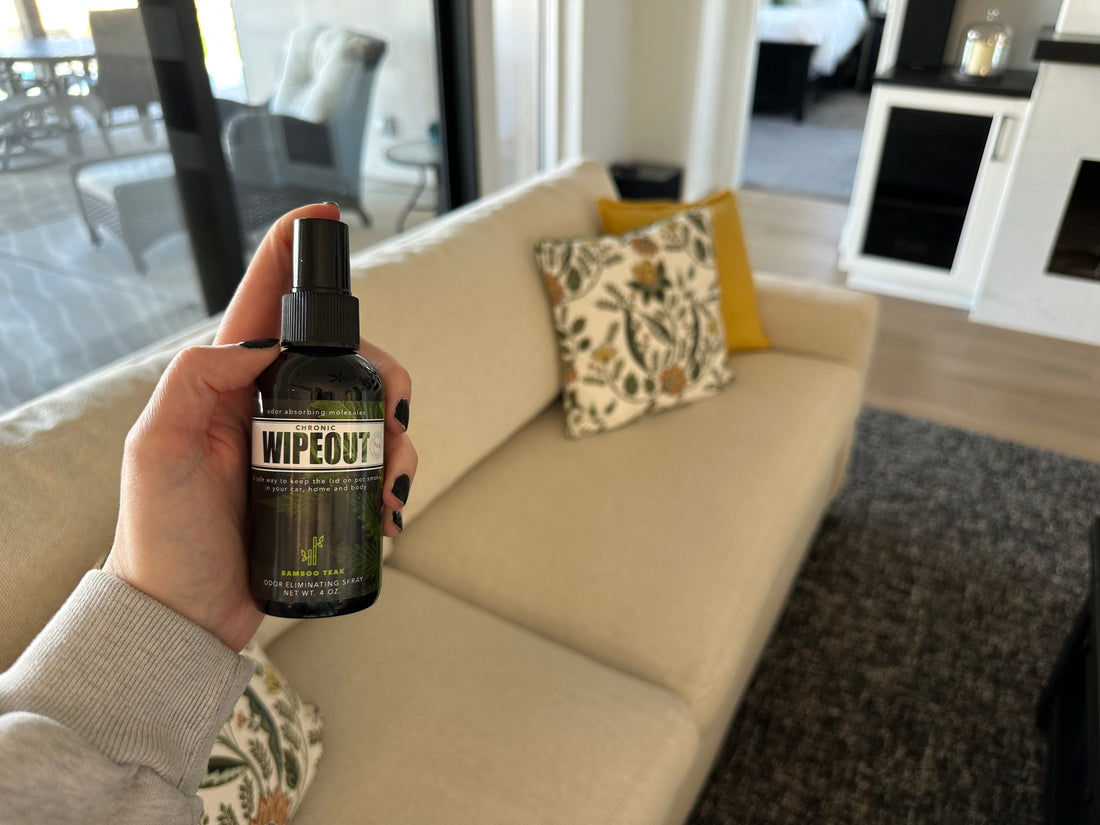 remove smoke odor from furniture easily