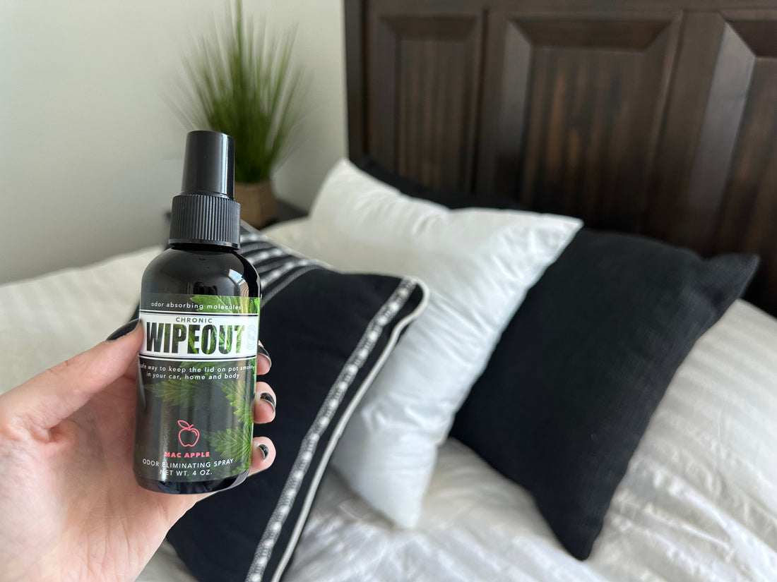 Your Smoke Odor Toolkit: The Must-Have Items for Keeping Weed Smell in Check