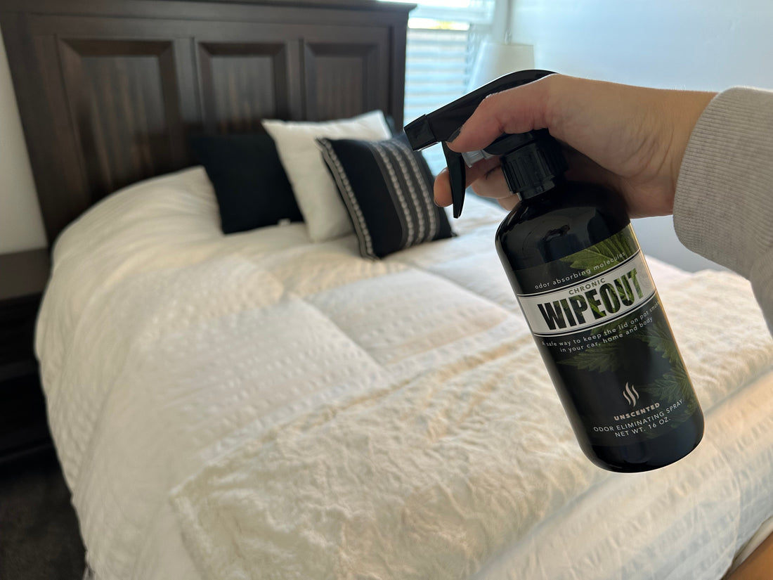 Kill the Smell, Not the Vibe: Best Weed Spray for Marijuana Smell