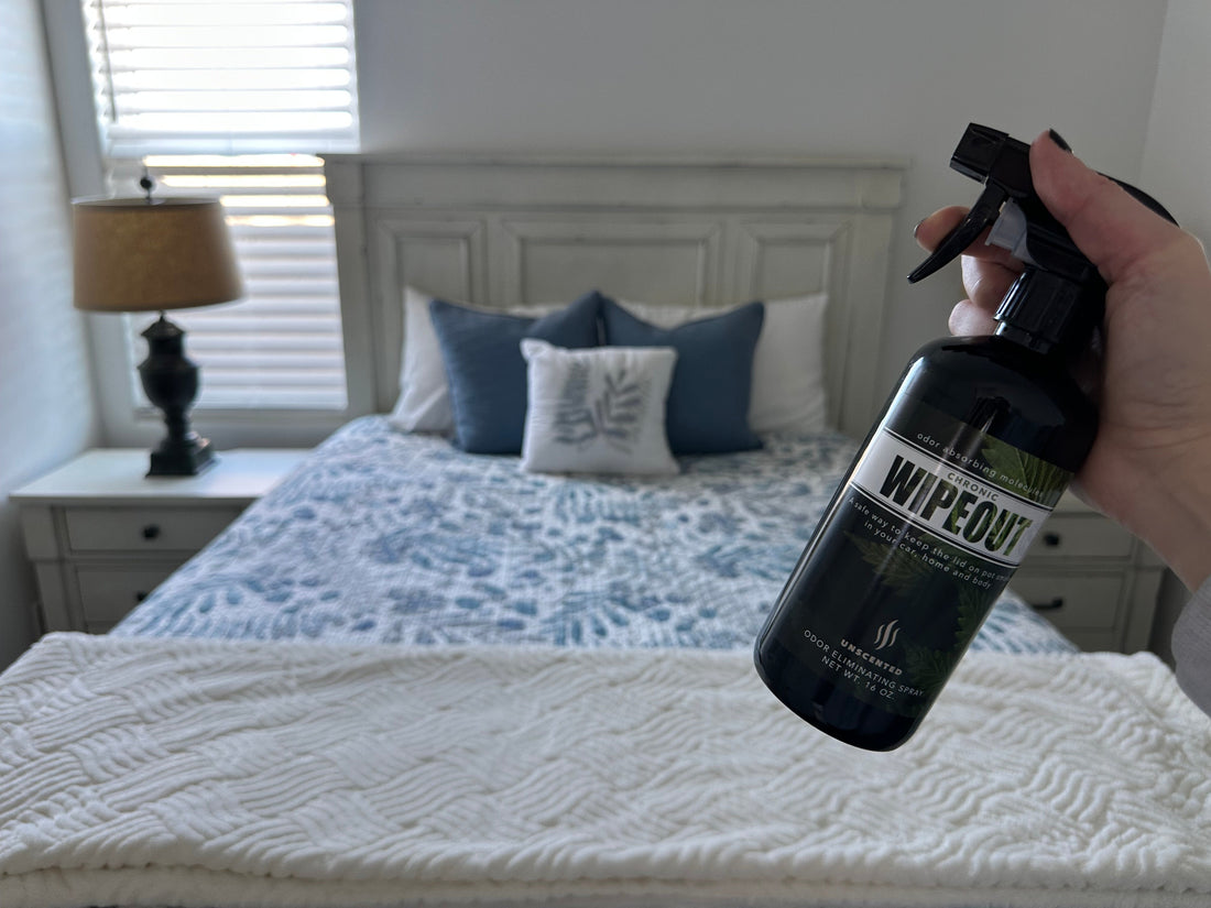 save on Chronic Wipeout smoke odor eliminating spray with Subscribe & Save