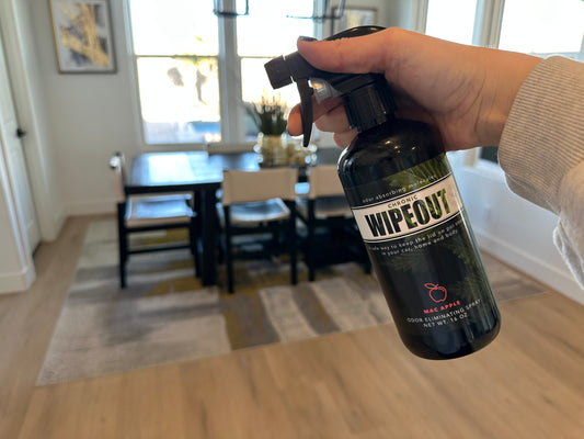 how to get the smell of smoke out