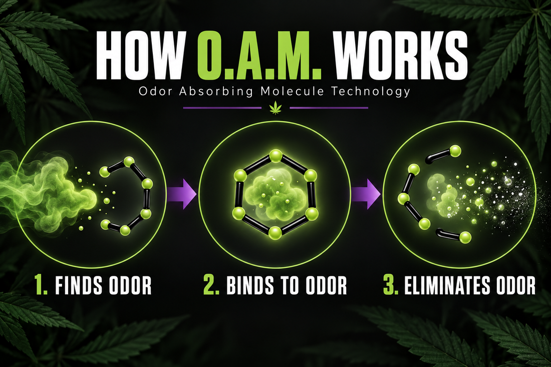 how does odor eliminator work, does odor eliminator remove smell or mask it, enzyme free odor eliminator, plant based smoke odor eliminator, cannabis odor eliminator spray